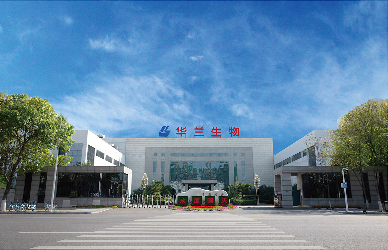 公海彩船6600风范